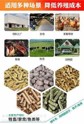 農用雞飼料制粒機與豬飼料顆粒機 提升飼料利用效率的關鍵設備