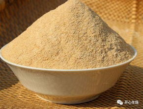 你真的了解各種飼料的性質(zhì)嗎？—— 一份飼料選擇與使用的實(shí)用指南